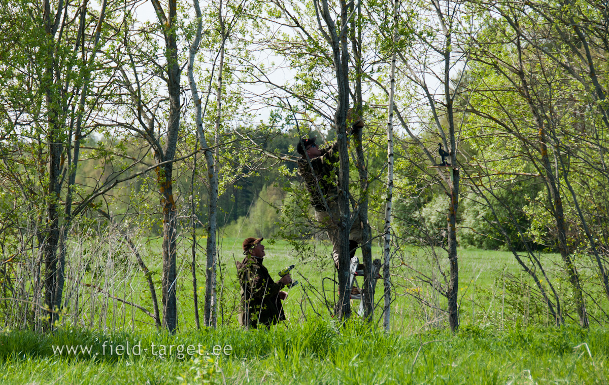 osad märgid seekord isegi puu otsa